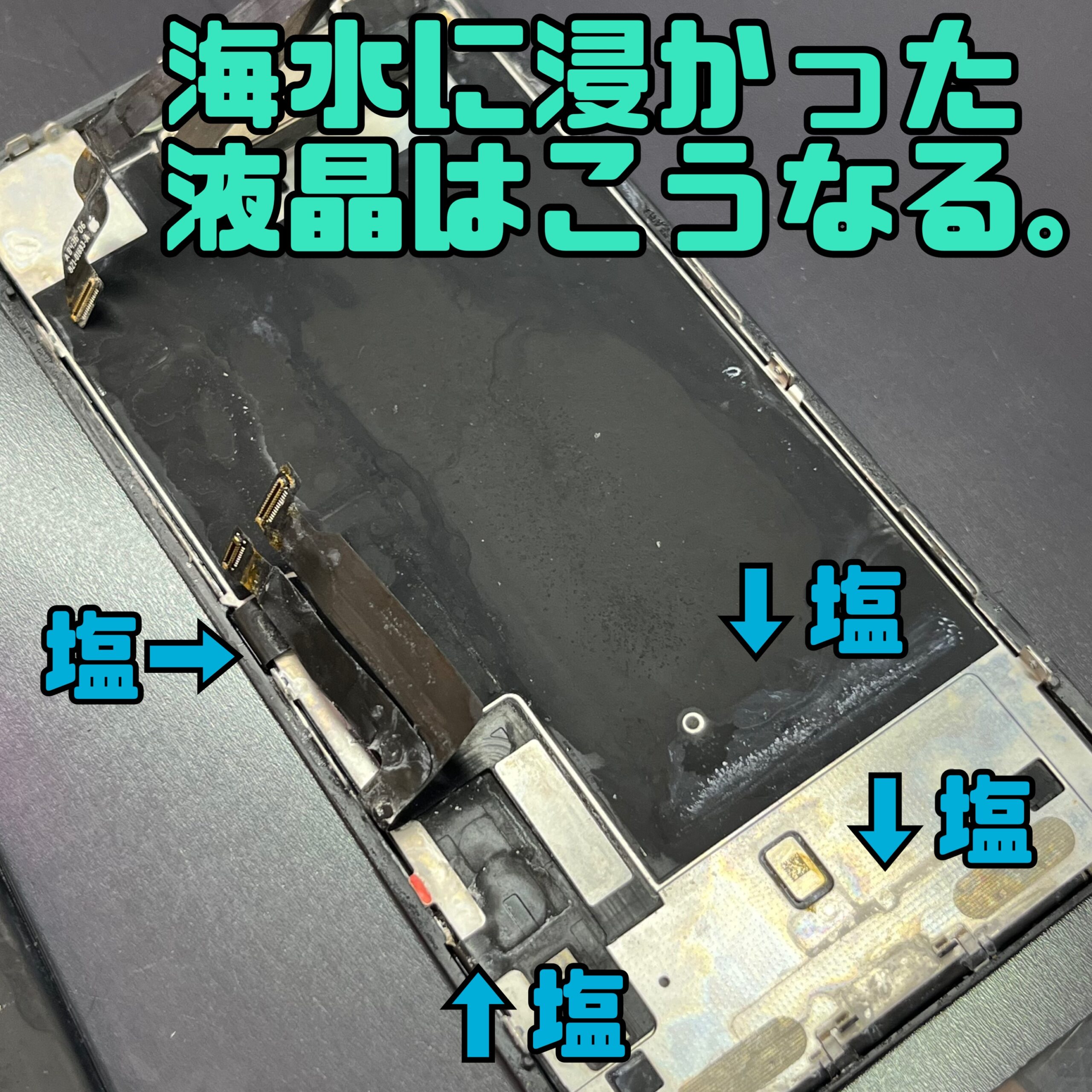 持ち込み画像　※購入不可 持込許可証 321－08 検 （50mm径） | 【ミドリ安全】公式通販